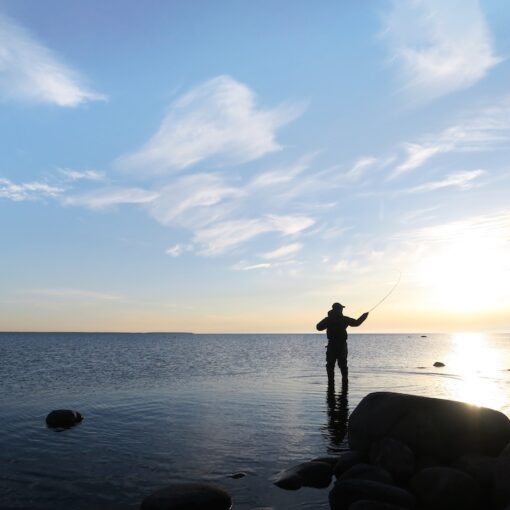 Kuvassa mies kalastaa meritaimenta vedessä seisten.