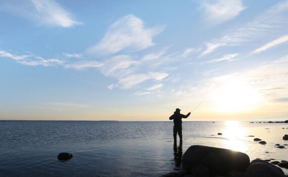 Kuvassa mies kalastaa meritaimenta vedessä seisten.